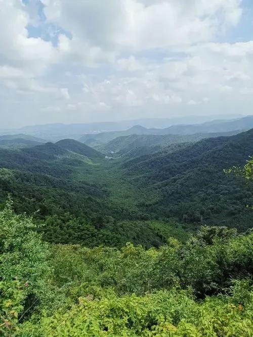 宜兴竹海拍照攻略,宜兴竹海氡泉温泉