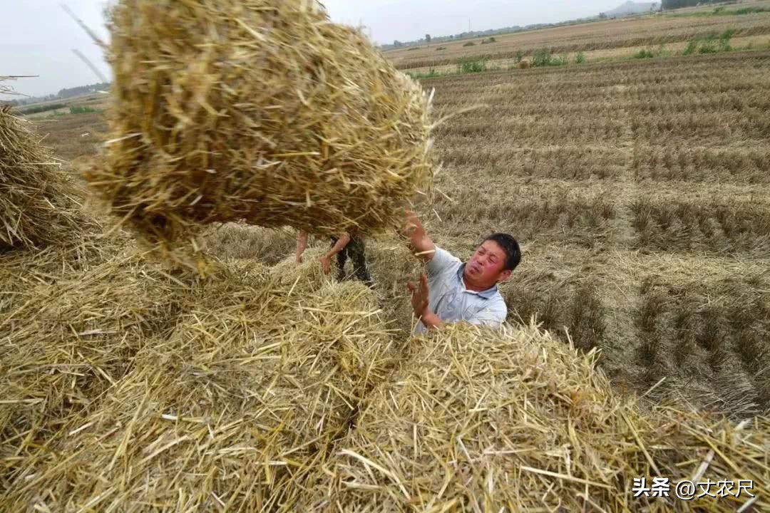 比壁挂炉更省钱的取暖方式,冬季农村用电取暖最经济的办法