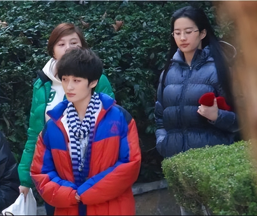 美颜暴击刘亦菲,刘亦菲颜值暴击图片