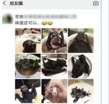 微信哪种行为会被封号,微信新规对于这四种行为直接封号