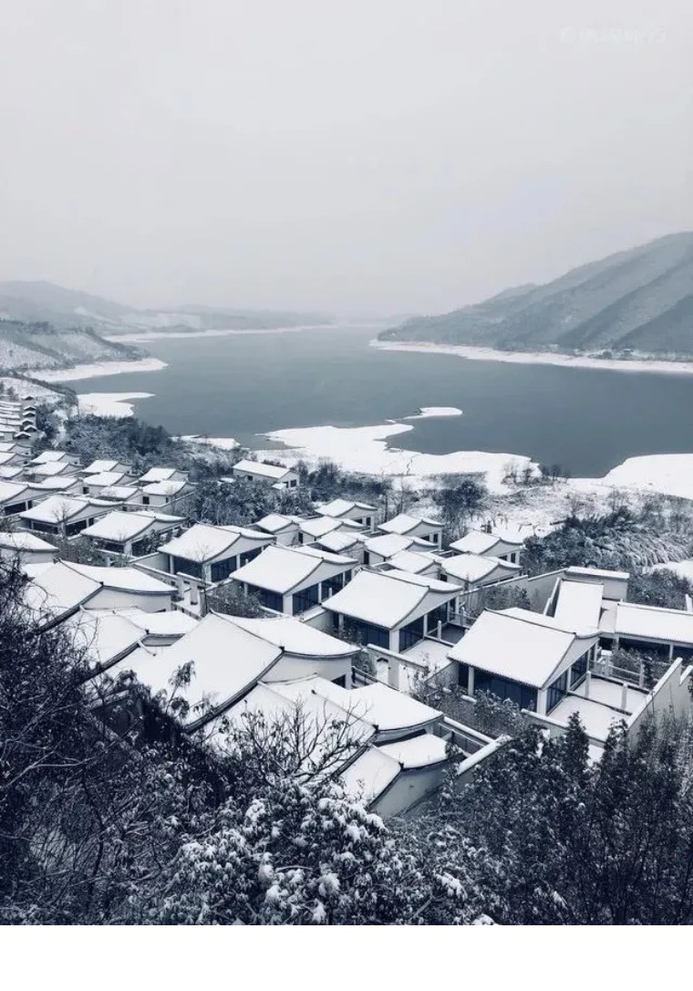 安吉阿丽拉酒店概况,浙江湖州安吉阿丽拉酒店
