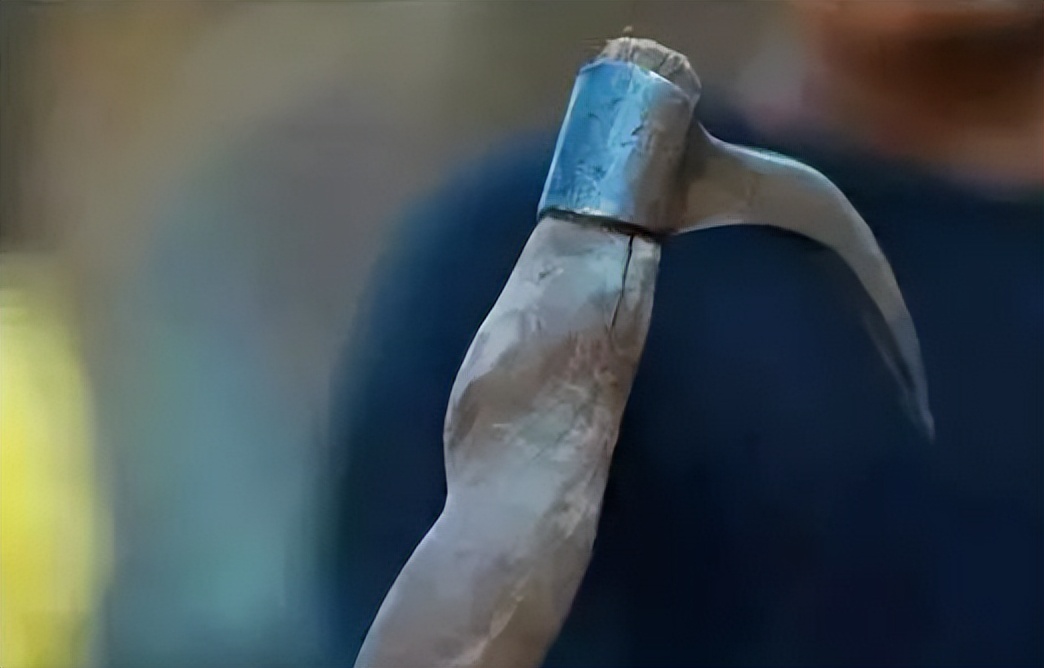 6岁公主活成“脚链囚徒”，背后的动物表演让人心疼