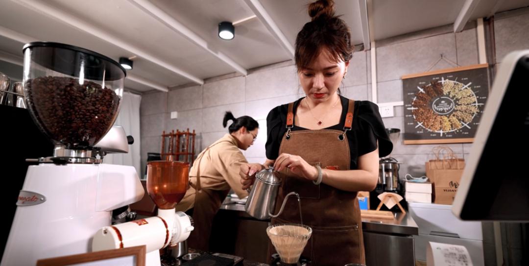 把一颗种子种在树上,把一颗种子种到地里面