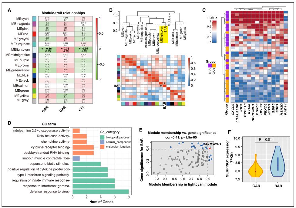 4张图=6分+的WGCNA非肿瘤诊断标记物筛选！简单实验也可达成！