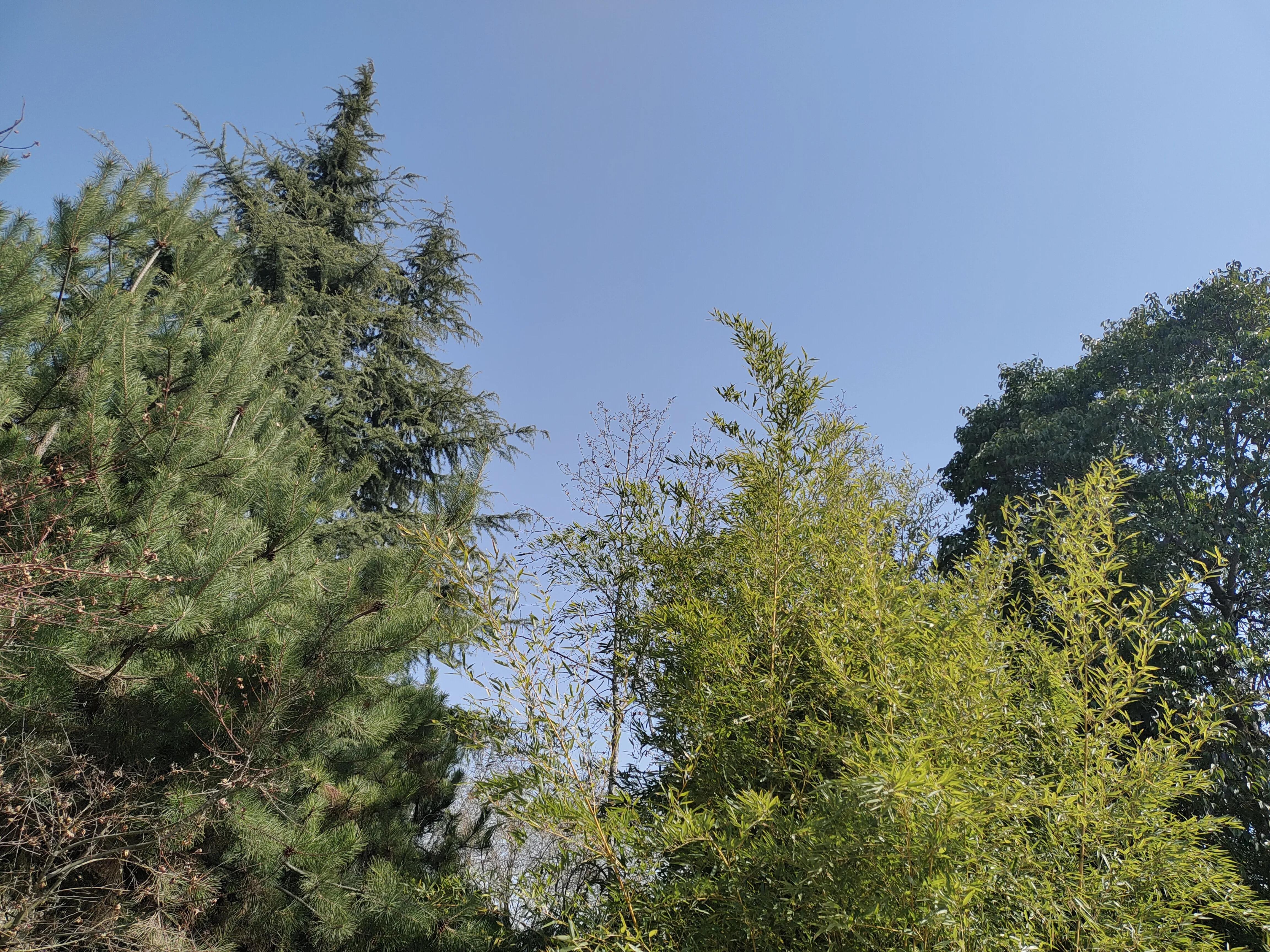 微信退群告别语,微信退群恢复