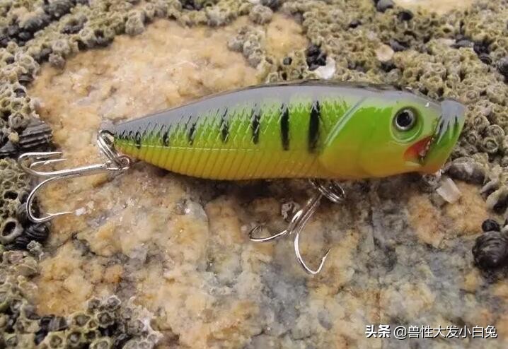 路亚鱼饵的介绍,路亚饵的全方面介绍