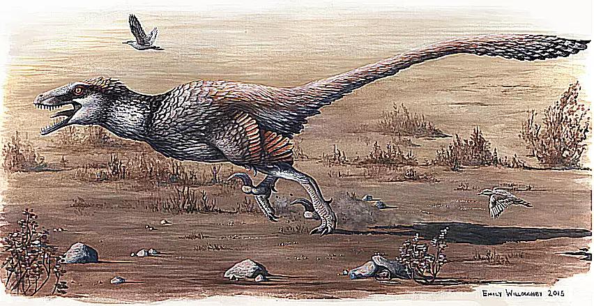 兽脚类恐龙的种类,raptor猛禽恐龙