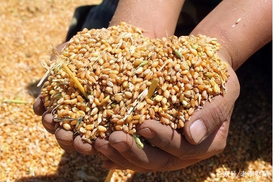 俄罗斯为啥都是平原气候,俄罗斯气候变化现状