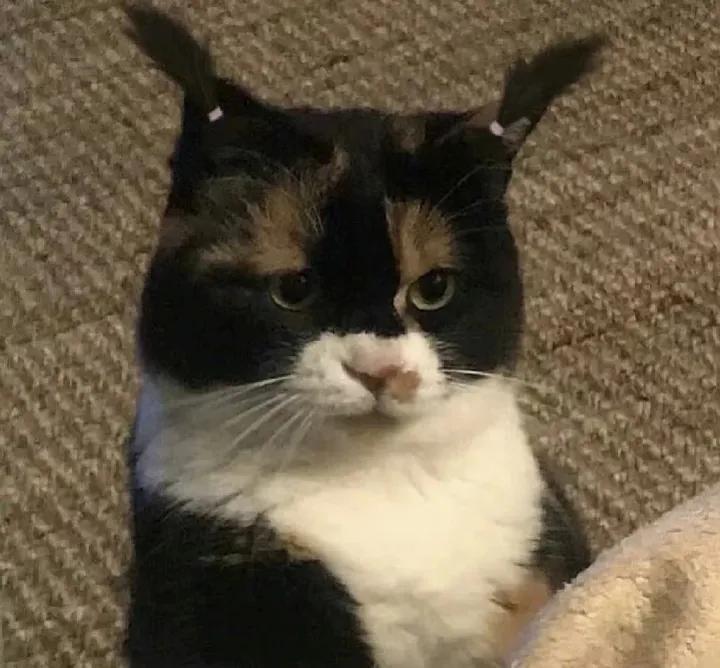 形容时间很久的句子,喜欢一个东西很久的句子