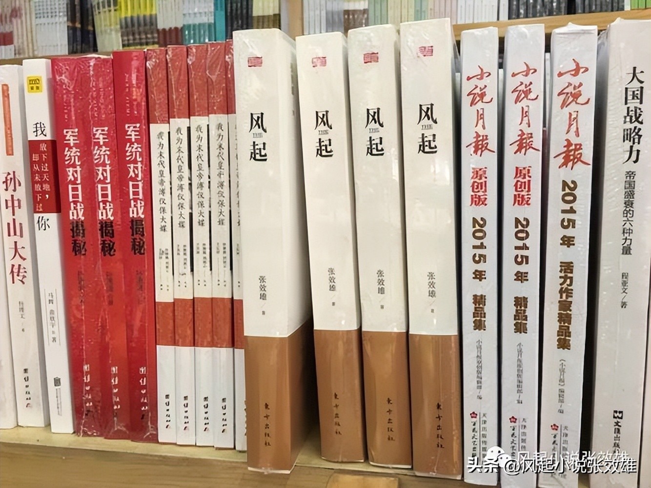 闀跨瘒灏忚閫夊垔鍒涘垔鐧炬湡绾康,闀跨瘒灏忚椋庤捣绔规灄鍑虹増