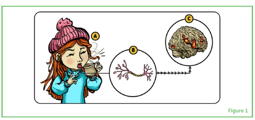 喷火的辣椒,可以喷火的辣椒