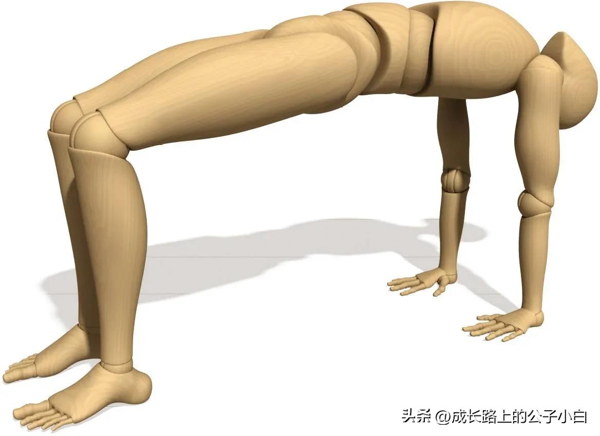 瑜伽解剖体式图解,瑜伽解剖体式讲解