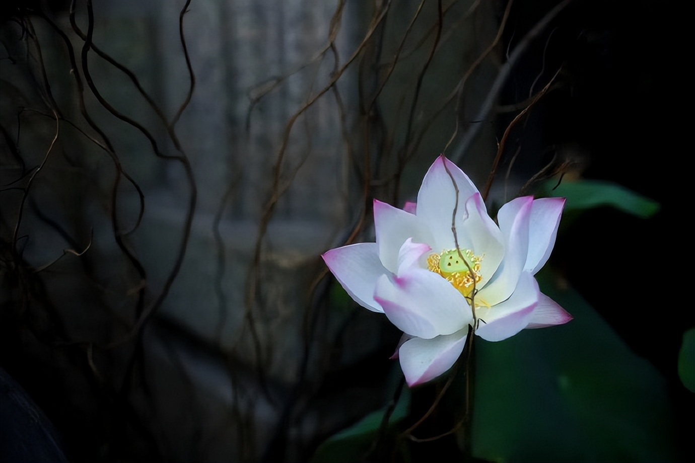 老人去世遗物留不留,家里祖辈过世有何禁忌