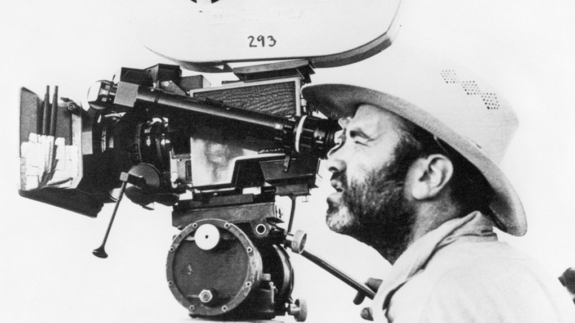 泰伦斯马利克镜头分析,泰伦斯马利克电影中的长镜头