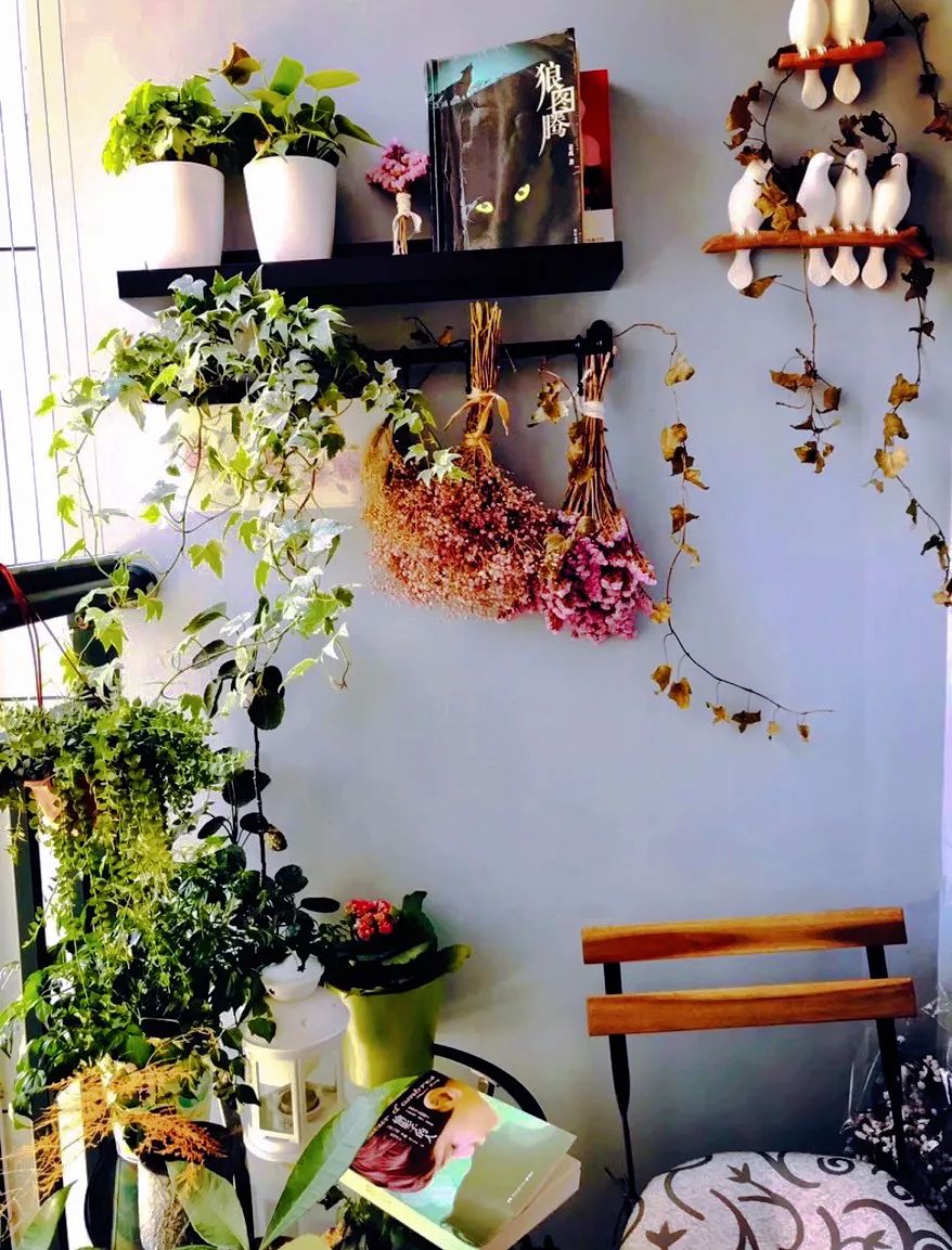 很多人羡慕的阳台,让别人羡慕的阳台