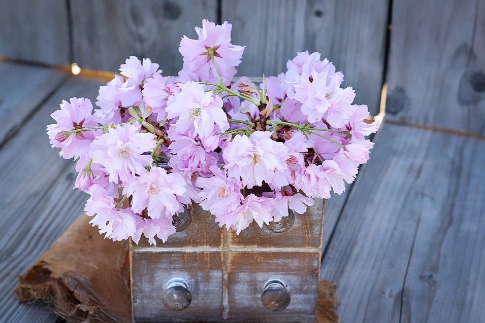 感觉到了敷衍就不要自讨没趣,女人不爱你了才会对你说这些话