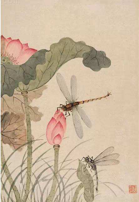 安妮宝贝的莲花讲的是什么,安妮宝贝莲花