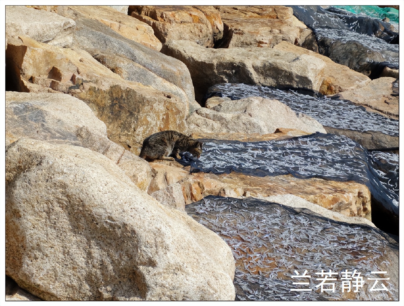 赤柱,赤柱在香港哪个区