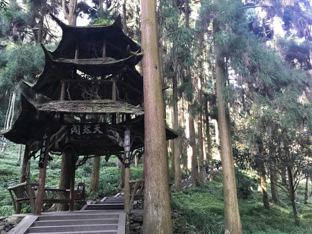 道教四大名山四川成都,道教名山青城山旅游攻略