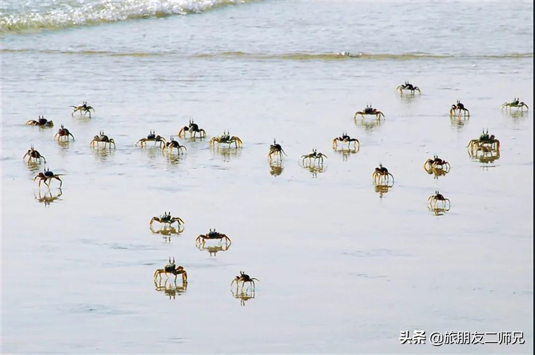 台山下川岛三日游旅游攻略自驾游,广州台山旅游攻略一日游最佳路线