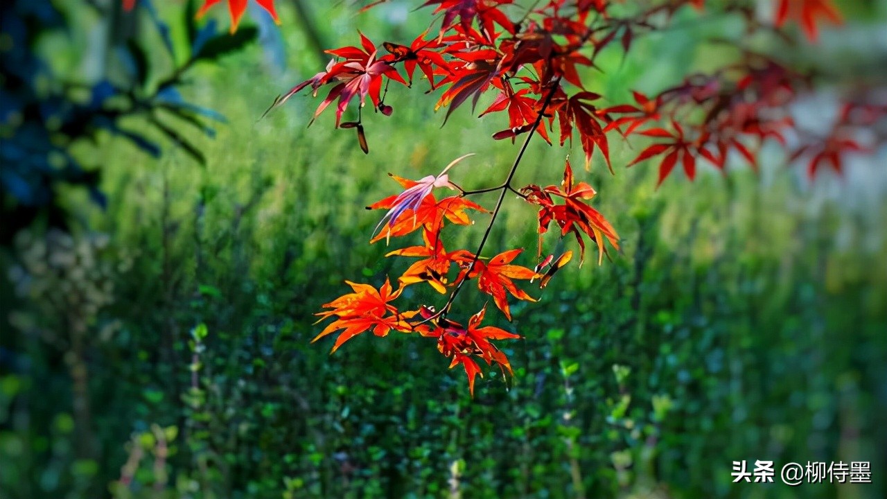 拍照不好看只要学会这些小技巧,摄影大师教你拍照技巧