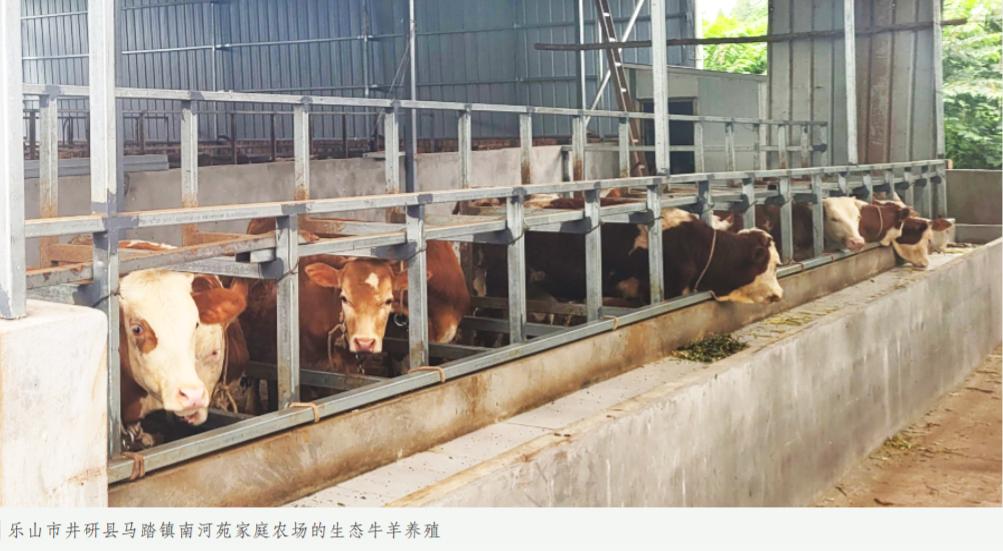 南河苑农场,井研县马踏乡南河村