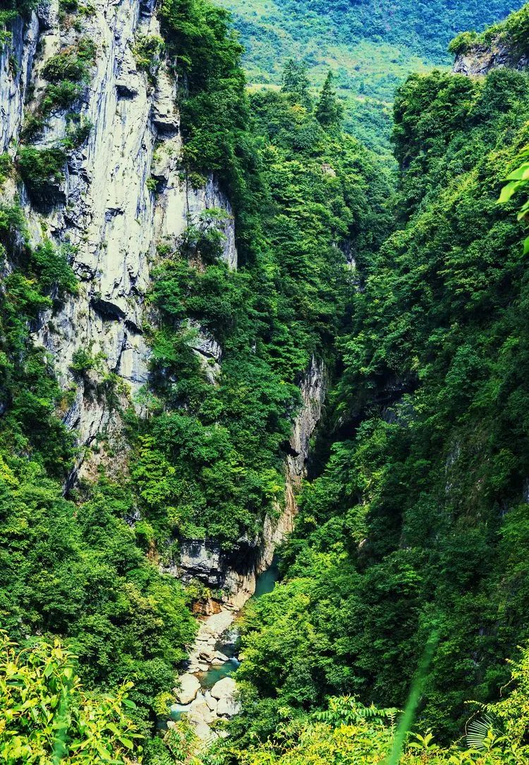 80年代照相馆老店,开个80后回忆的店怎么样