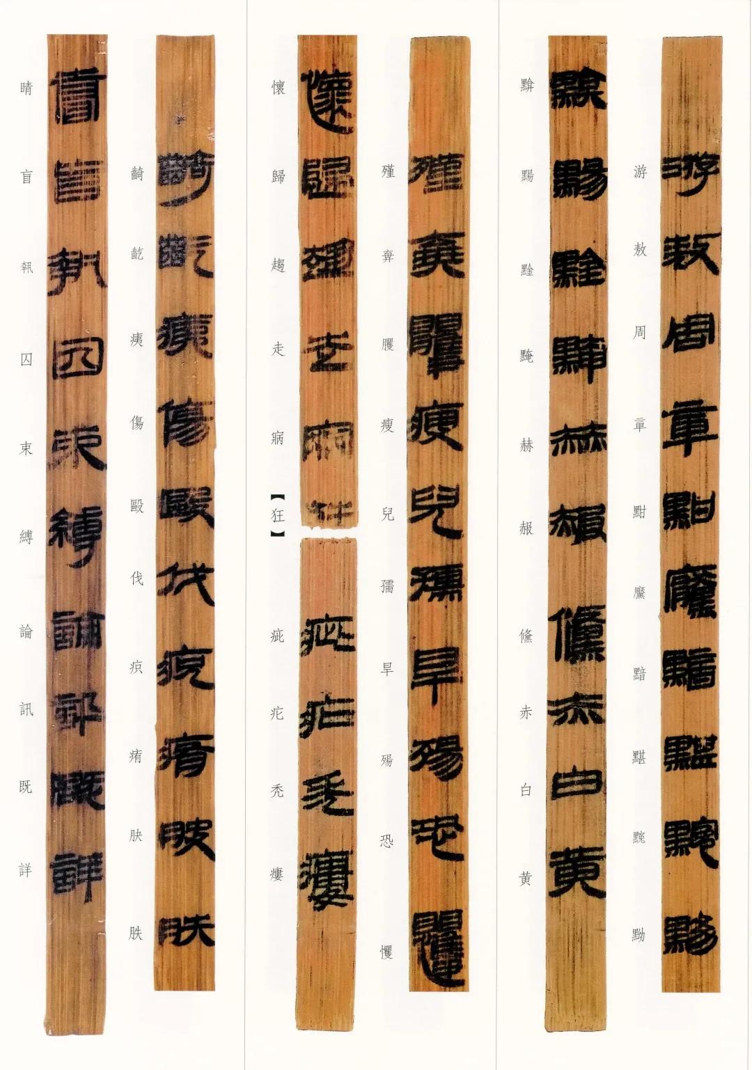 西汉竹书,西汉竹简草隶书法作品