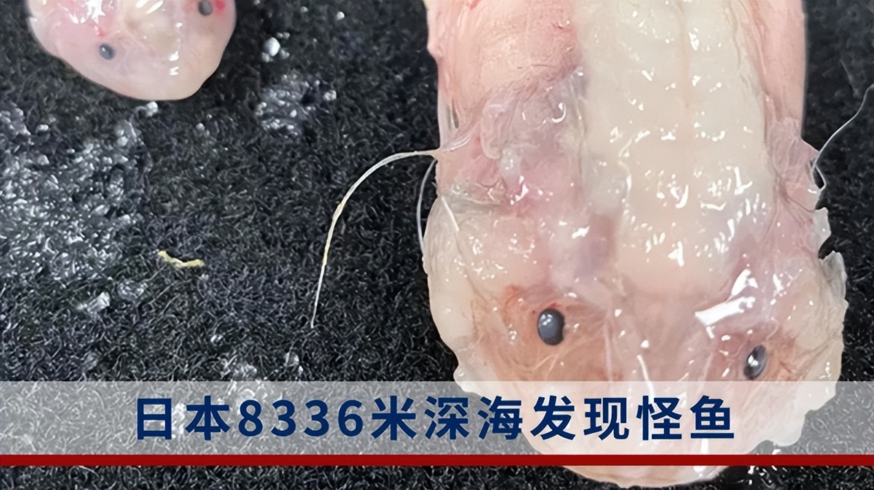 4月5日，农历二月十五，一起来看今天重点新闻