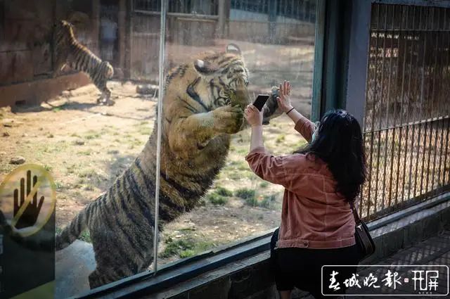 云南六一儿童节旅游攻略,云南适合小朋友旅游的地方