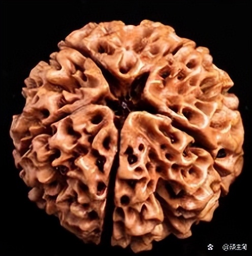 怎么区分落地红和金刚的区别,落地红和金刚的对比照片