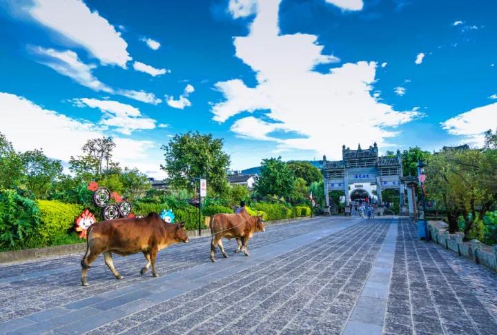 云南旅游全攻略自由行详细路程,自由行云南旅游攻略路线详细