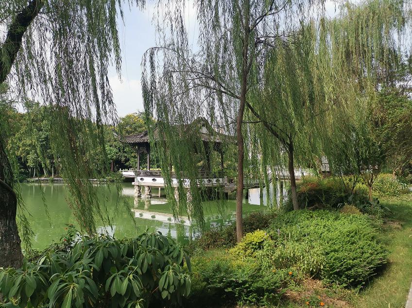 刘柏荣|豪*欲情**把春留住:花困东君酒点唇(原创诗词十首)