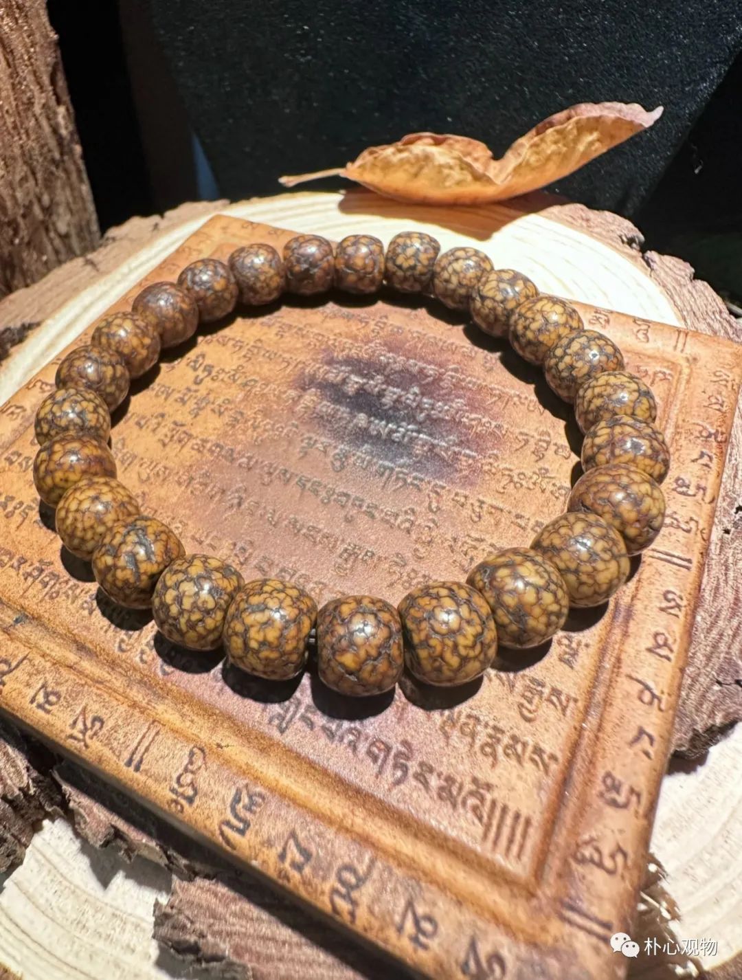 郭哥文玩星月菩提,徐胤