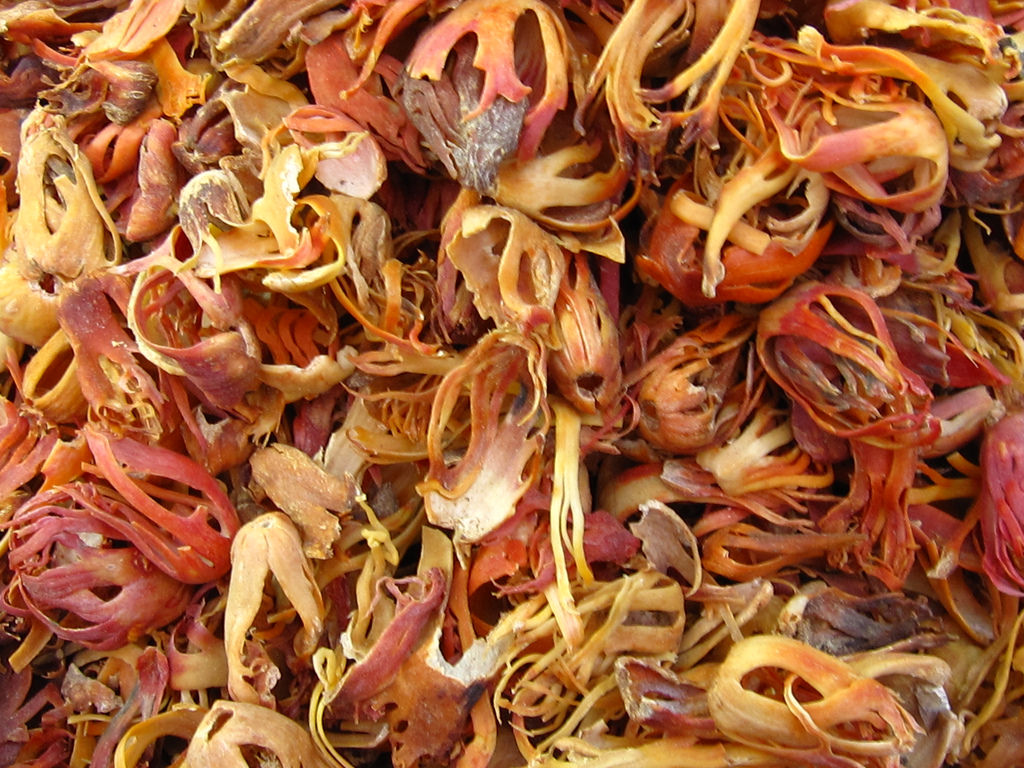 肉豆蔻香料经典组合,香料小豆蔻香味介绍