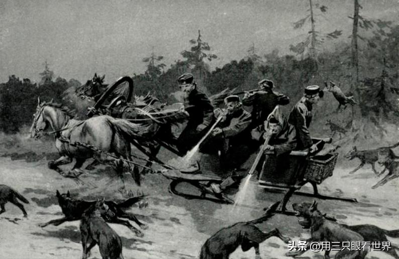 知青往事牧海情缘,知青往事大兴安岭