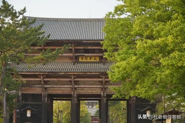 日本京都奈良之行,日本奈良大阪东京八天之旅