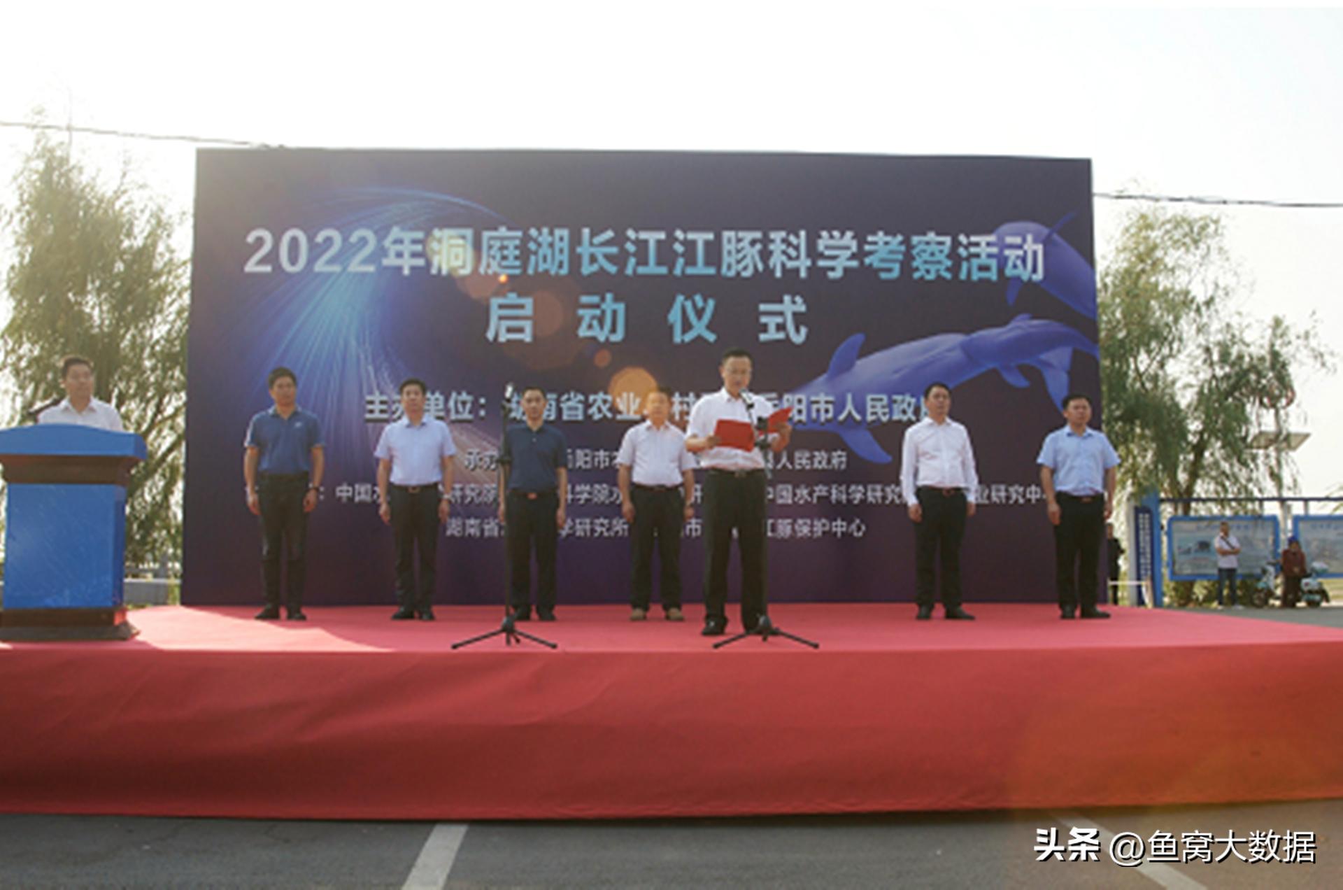 长江江豚吃什么呢,长江江豚以前可以吃吗