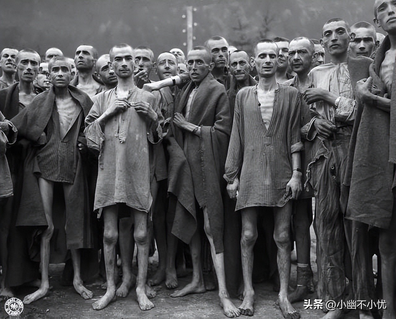 纳粹知道我的名字,奥斯维辛集中营毒气室回忆录