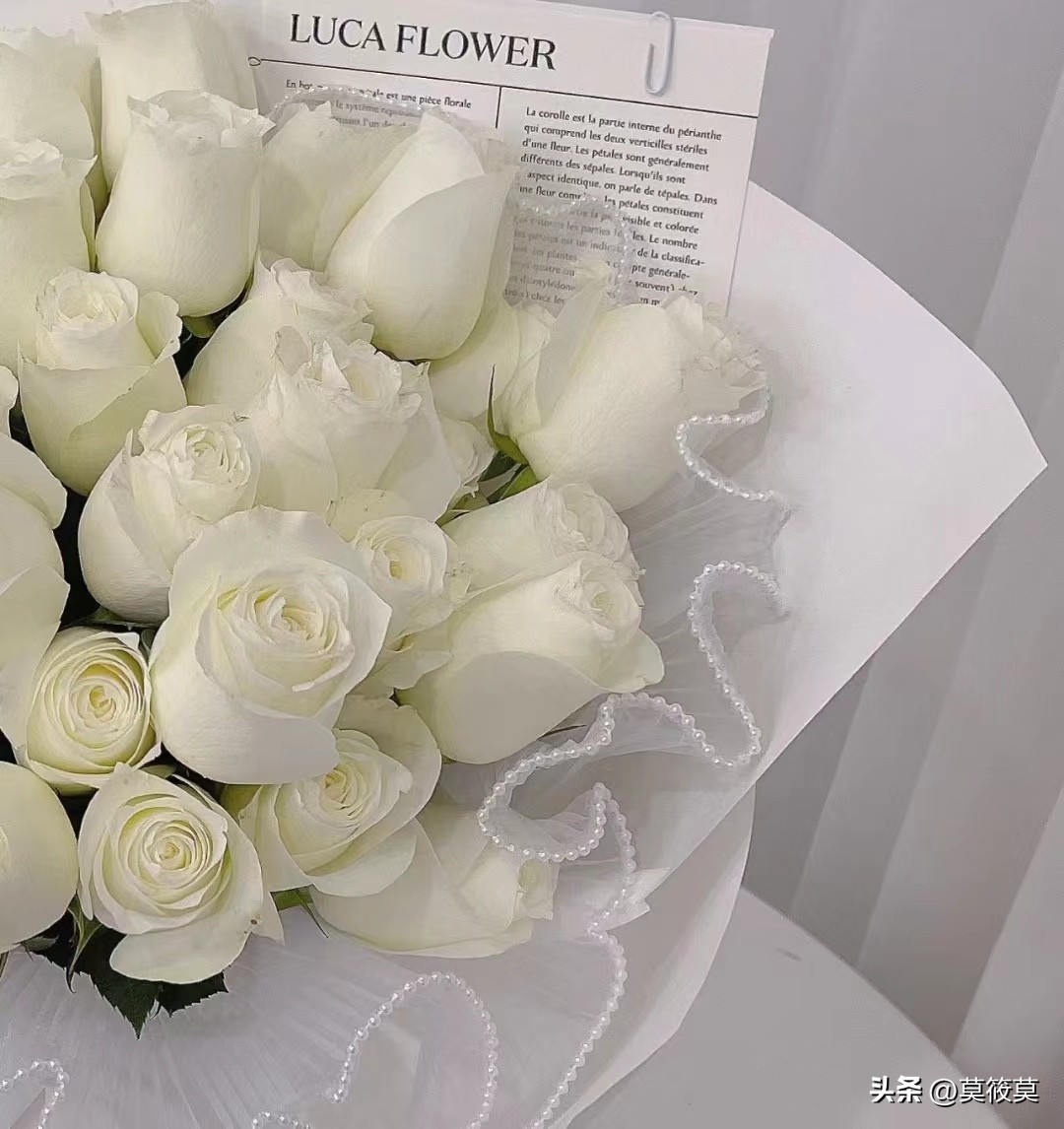 50种常见鲜花的花语大全,各种鲜花的花语和寓意图片欣赏