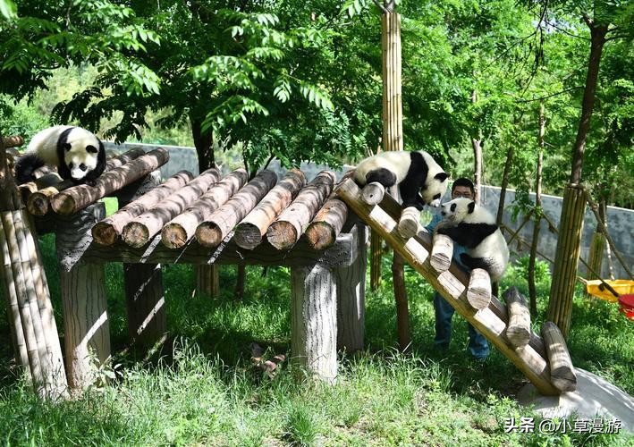 成都旅游攻略来了性价比高,超详细成都旅游攻略