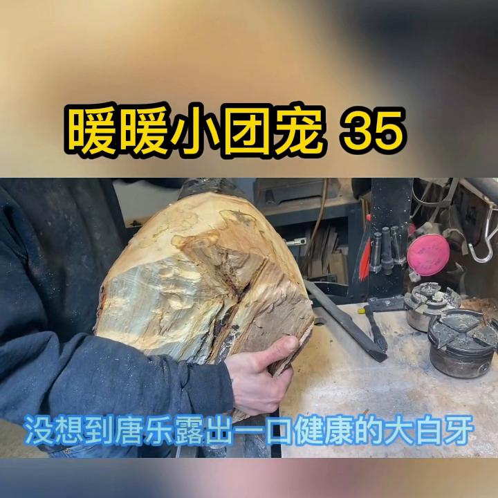 35暖暖小团宠暖暖喜欢红色，红色很热烈！红色在中国...
