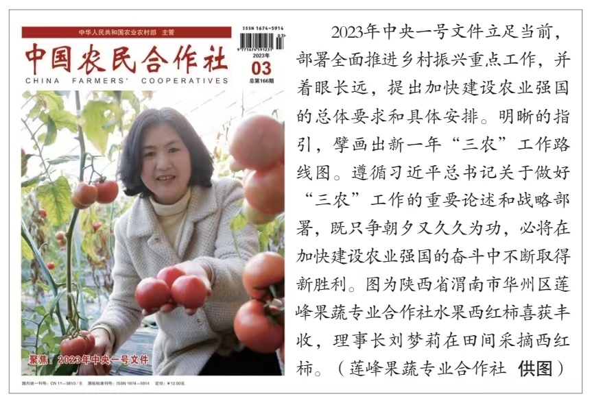 生态优先绿富同兴——准格尔旗绿苹林果产业专业合作社发展苹果产业纪实