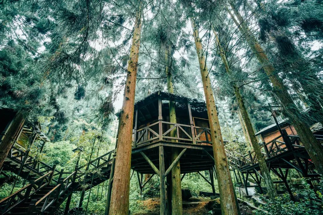 【森爱咸丰·音你而来】“避世感”满分的精品酒店住宿推荐