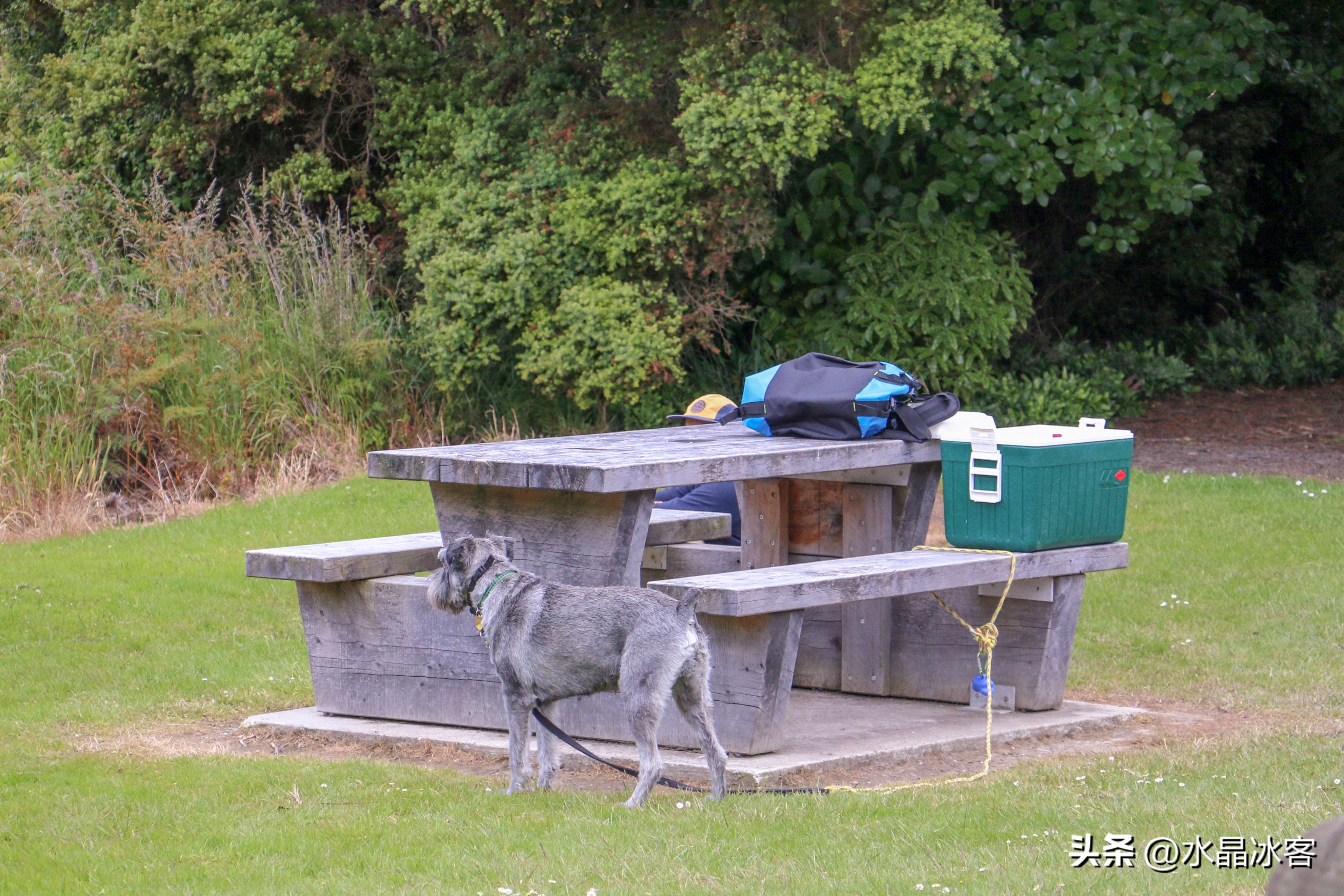 南岛新西兰之旅,新西兰之南岛