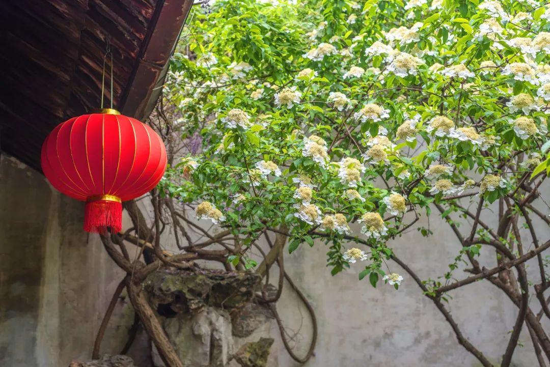 磨金石教育摄影技能干货分享||扬州有哪些地方让你流连忘返