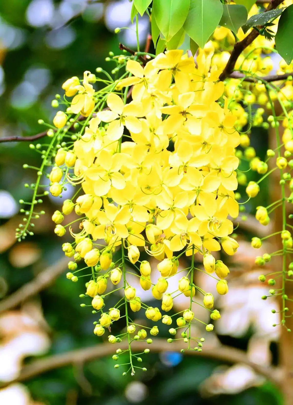 国色天香秀色可餐的美女 (秀色可餐与国色天香)