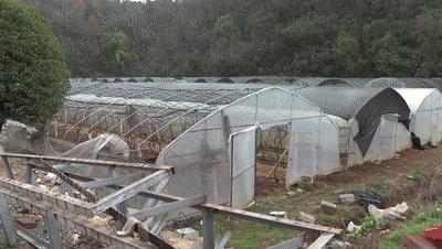 哪个专家提议重收农业税,专家建议重征农业税