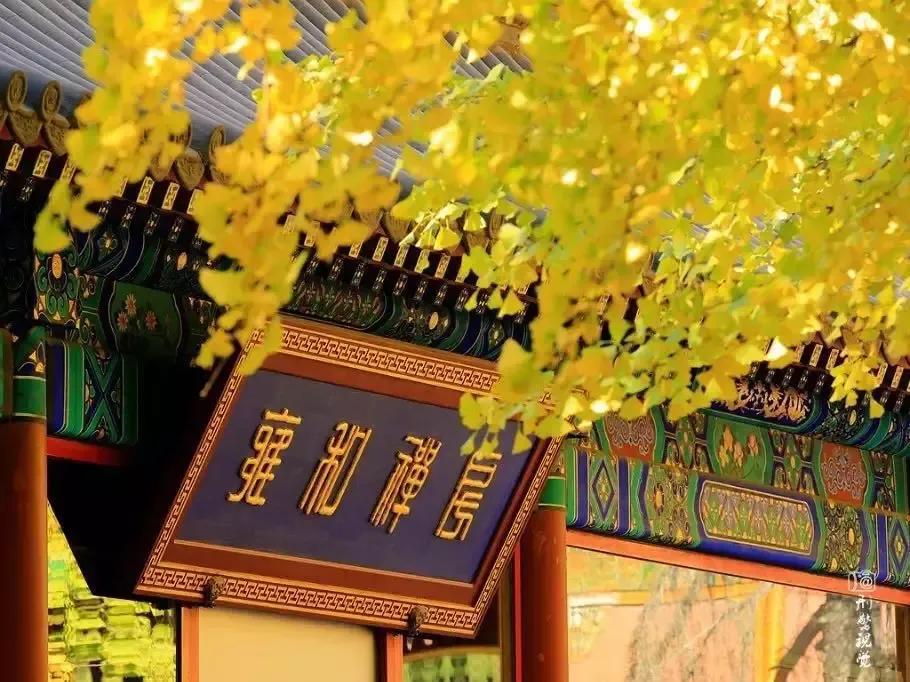 描写秋天的诗句大全100句,欣赏秋天的诗句大全