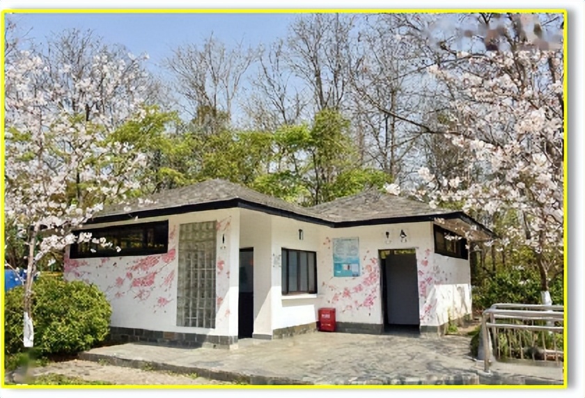 公厕常识直播,公共厕所的小知识